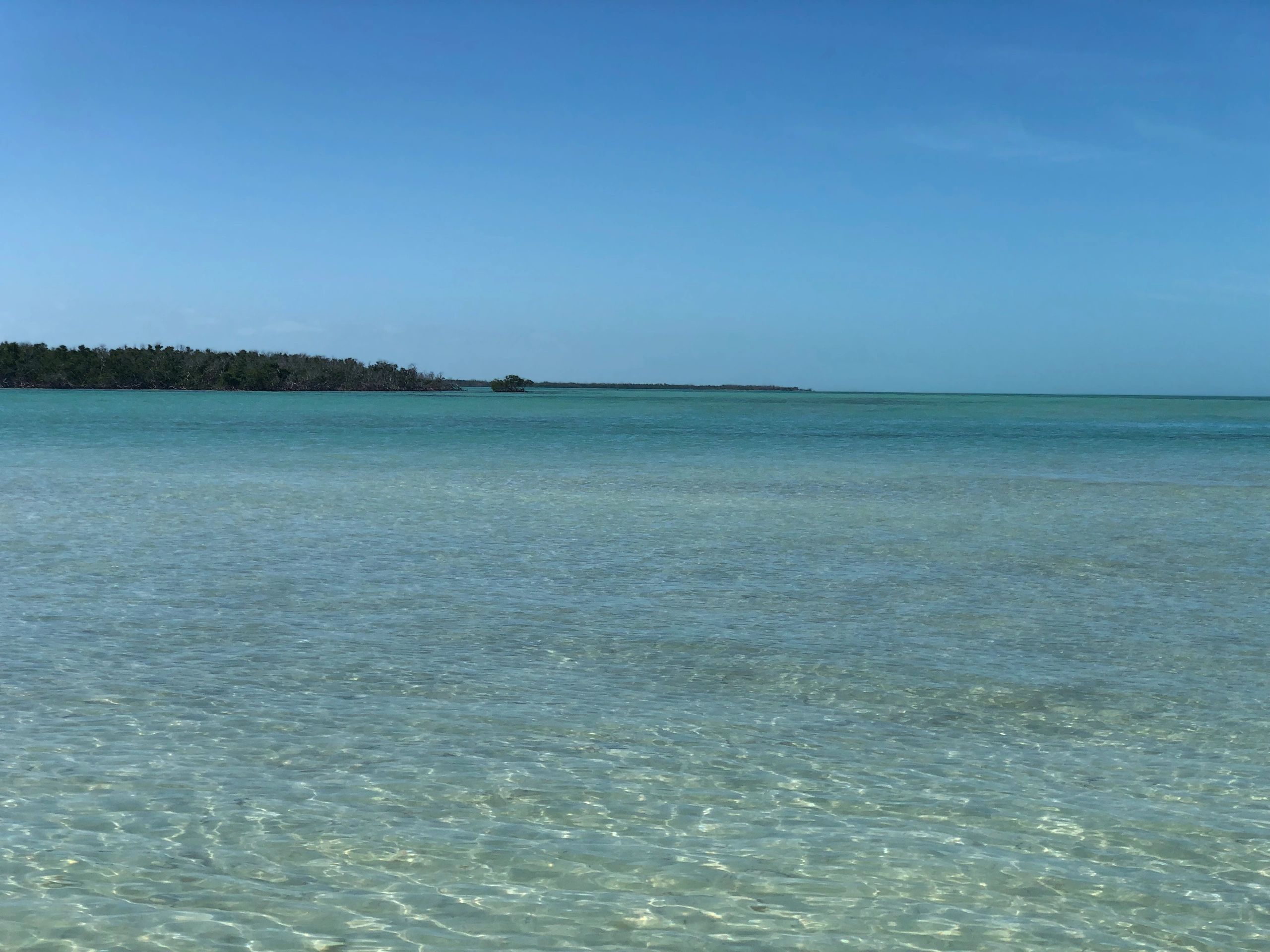 Florida Keys Schedule Of Events